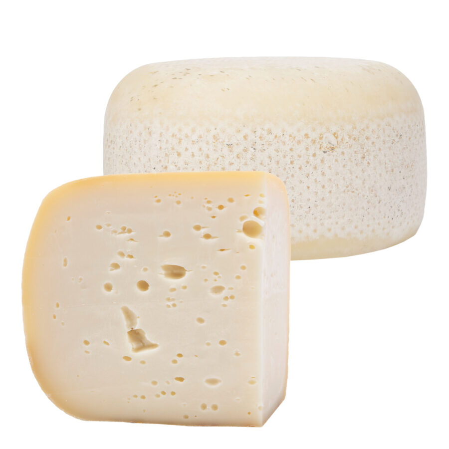 O'Chiavcon cheese - Milk from Italian Agerolese cows